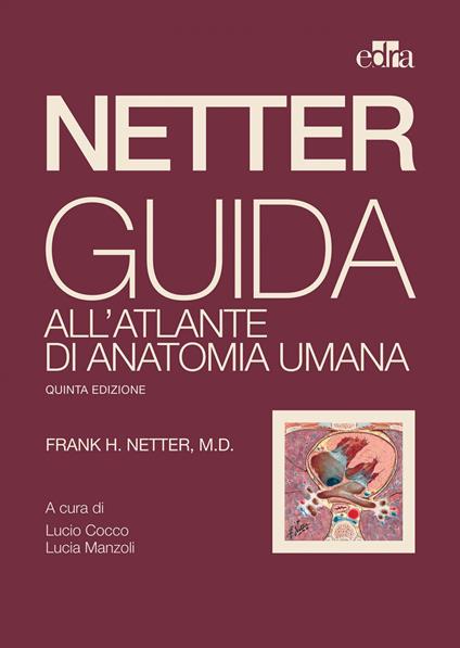 Netter. Guida all'atlante di anatomia umana - Frank H. Netter,Lucio Cocco,Lucia Manzoli - ebook