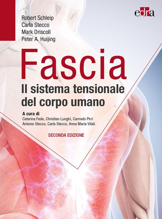 Fascia. Il sistema tensionale del corpo umano - Robert Schleip,Carla Stecco,Mark Driscoll - copertina