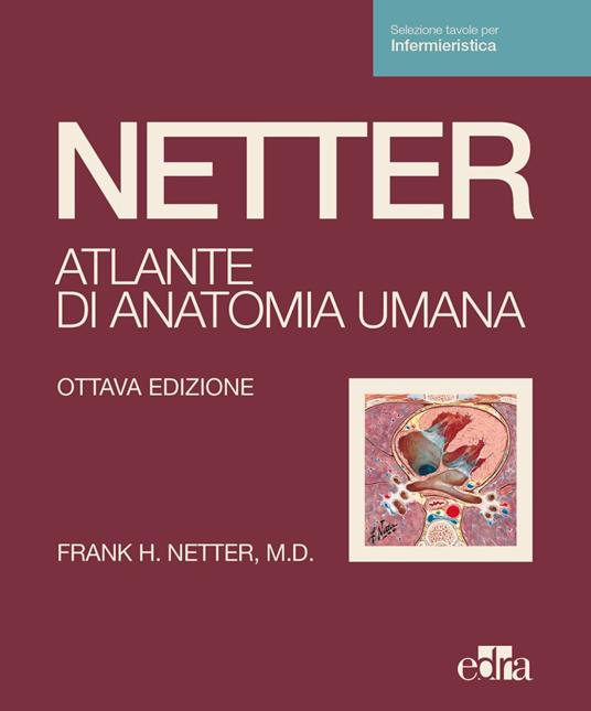 Netter. Atlante di anatomia umana. Scienze infermieristiche - Frank H. Netter - copertina