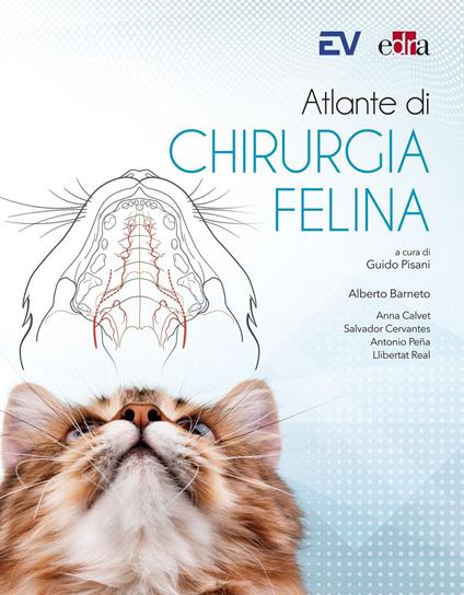 Atlante di chirurgia felina - Alberto Barneto,Anna Calvet,Salvador Cervantes,Antonio Pena - ebook