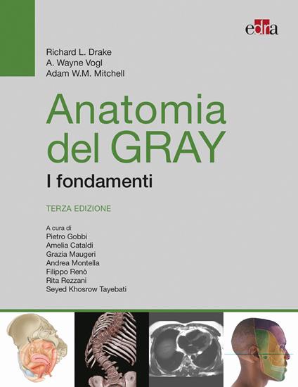 Anatomia del Gray. I fondamenti - Richard L. Drake,A. Wayne Vogl,Adam W. Mitchell - copertina
