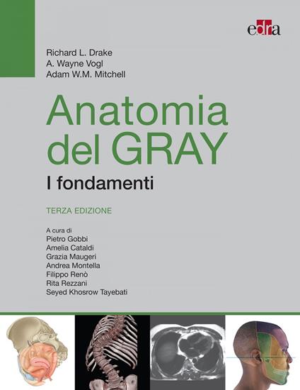 Anatomia del Gray. I fondamenti - Richard L. Drake,Adam W. Mitchell,A. Wayne Vogl - ebook