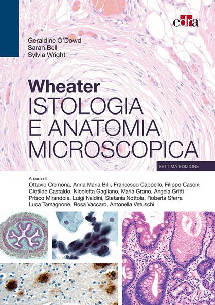 Wheater. Istologia e anatomia microscopica - Sarah Bell,Geraldine O'Dowd,Sylvia Wright - ebook