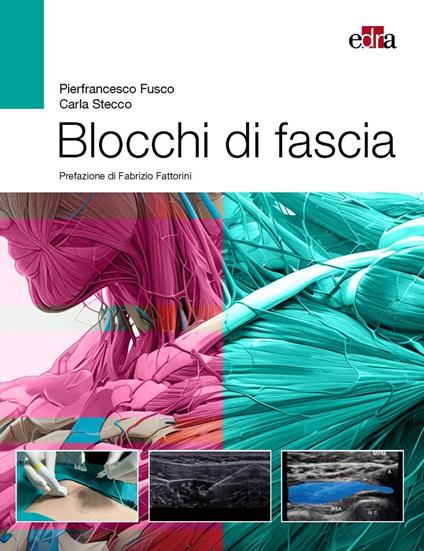 Blocchi di fascia - Pierfrancesco Fusco,Carla Stecco - copertina