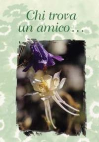 Chi trova un amico... - copertina