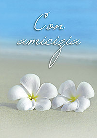 Cinemusica Shop