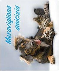 Meravigliosa amicizia - R. Sala - copertina