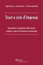 Trust e crisi d'impresa. Risanamento e liquidazione delle imprese mediante i negozi di destinazione patrimoniale