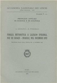 Pioggia meteoritica a Lajeado Ipiranga, Foz de Iguaçu (Brasile) nel dicembre 1972 - Antonello Angelucci,Renato Funiciello - copertina