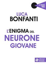 L'enigma del neurone giovane