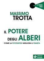 Nome prodotto