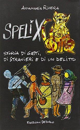 Libreria Serendipity