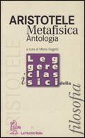 Libreria Max 88