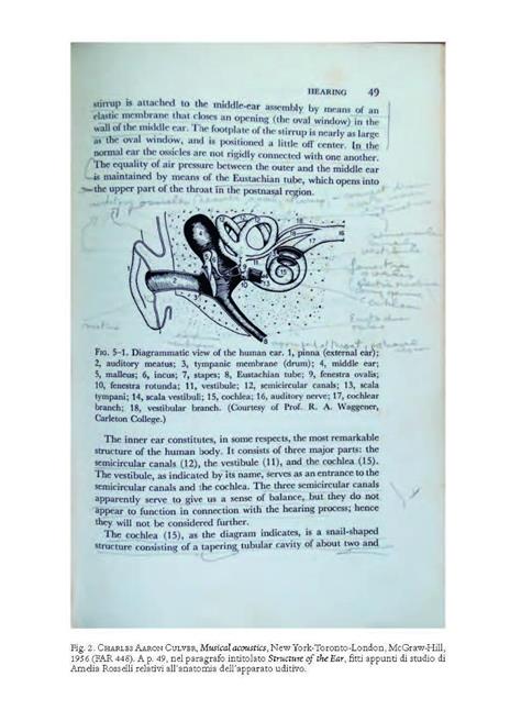 Il fondo Amelia Rosselli dell'Università della Tuscia. Saggi e apparati catalografici - 2