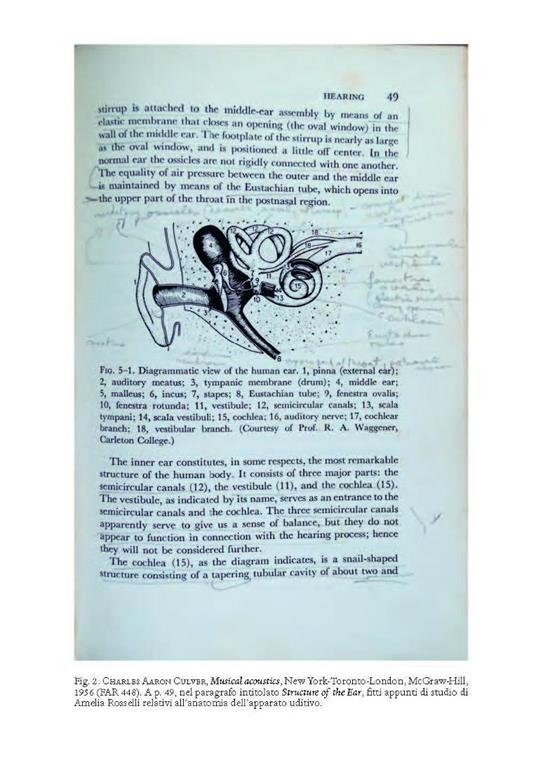 Il fondo Amelia Rosselli dell'Università della Tuscia. Saggi e apparati catalografici - 2
