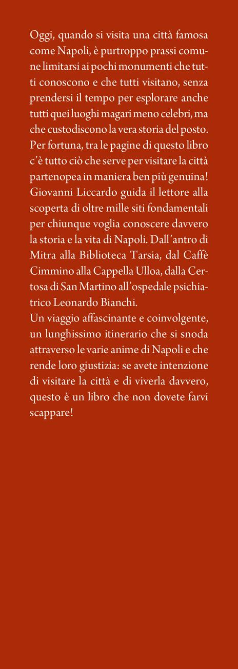 La storia di Napoli in 1001 luoghi. Chiese, palazzi, piazze e non solo: una magica passeggiata in mezzo ai simboli della città partenopea - Giovanni Liccardo - 2