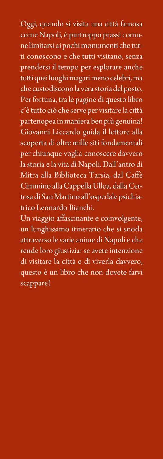 La storia di Napoli in 1001 luoghi. Chiese, palazzi, piazze e non solo: una magica passeggiata in mezzo ai simboli della città partenopea - Giovanni Liccardo - 2