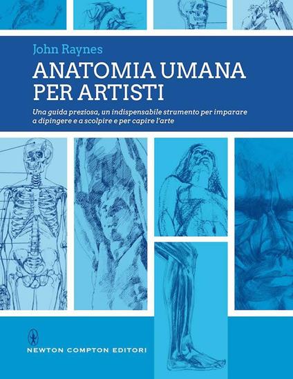 Anatomia umana per artisti - John Raynes - copertina