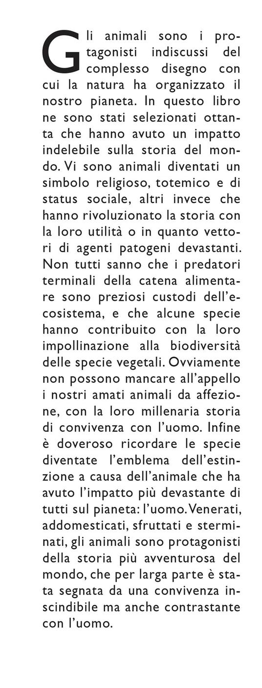 La storia del mondo in 80 animali. Dal pipistrello al gatto, dalla balena al topo: tutti i segreti e le curiosità che avresti voluto sapere ma non hai mai osato chiedere - Ippolita Douglas Scotti - 2