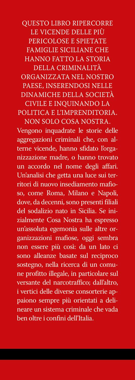 Le famiglie più potenti della mafia. Tutti i nomi e i cognomi di Cosa Nostra dalle origini a Matteo Messina Denaro - Vincenzo Ceruso - 2