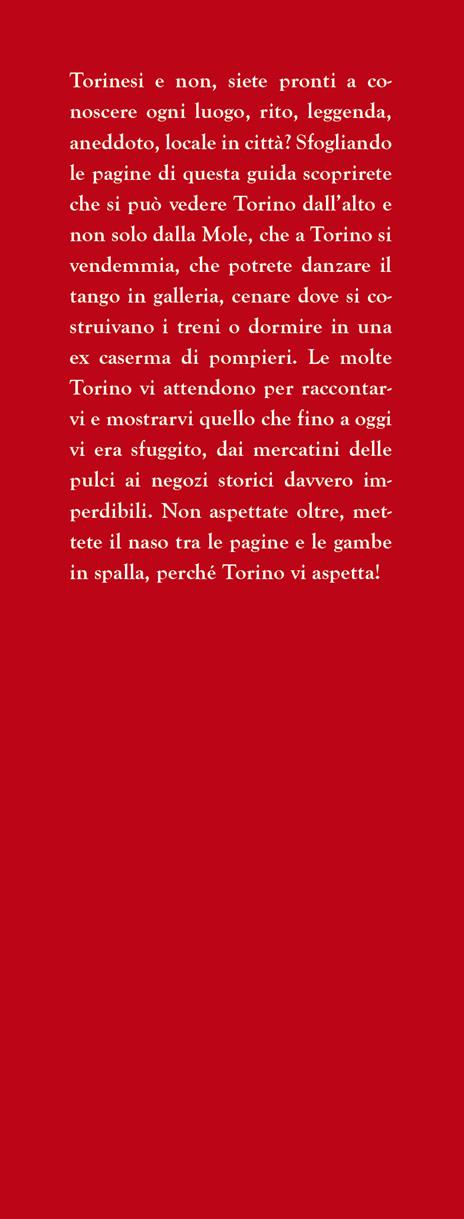 Guida di Torino per veri torinesi. Magie e fantasmi, campanili e grattacieli, cioccolato e caffè: un viaggio nelle mille sfaccettature segrete del capoluogo piemontese - Daniela Schembri Volpe - 2