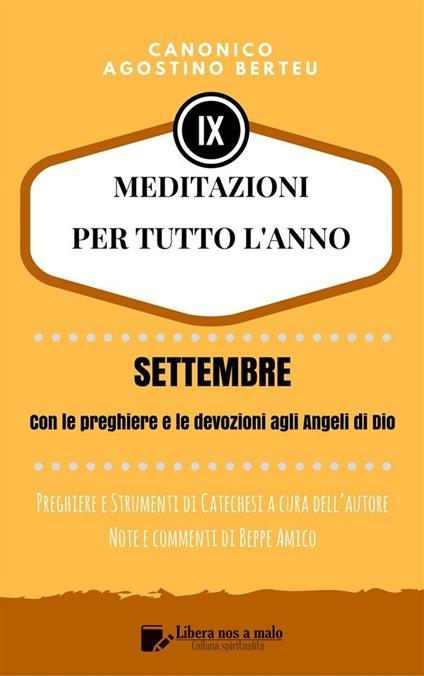Meditazioni per tutto l'anno. Vol. 9/1 - Agostino Berteu,Beppe Amico - ebook