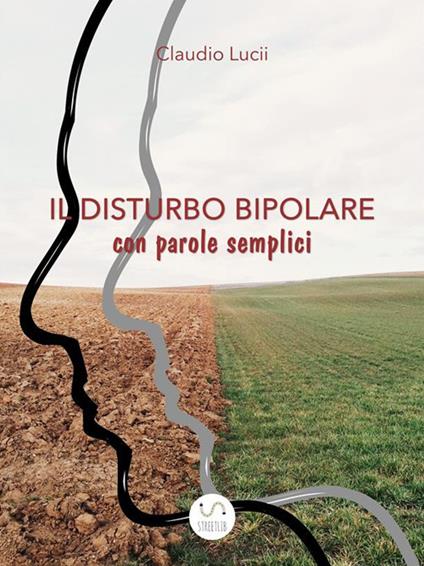 Il disturbo bipolare con parole semplici. Un aiuto per chi vuole saperne di di più - Claudio Lucii - ebook