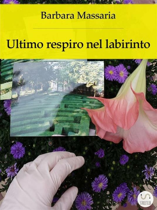 Ultimo respiro nel labirinto - Barbara Massaria - ebook