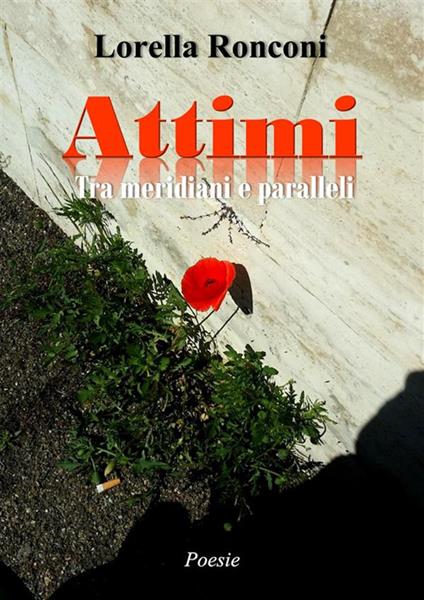 Attimi. Tra meridiani e paralleli - Lorella Ronconi - ebook