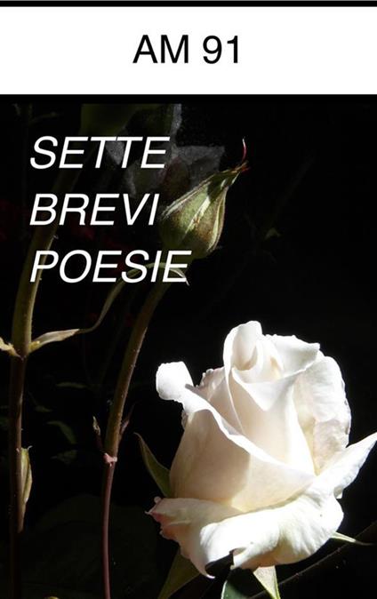 Sette brevi poesie - Am 91 - ebook