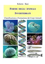 Forme degli Animali INVERTEBRATI