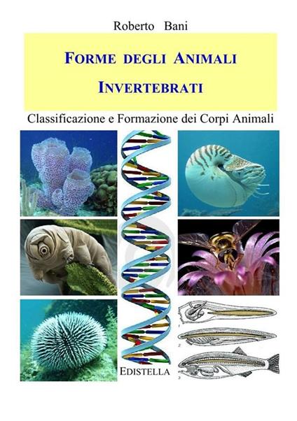 Forme degli Animali INVERTEBRATI - Roberto Bani - ebook