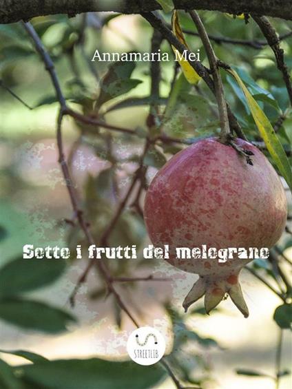 Sotto i frutti del melograno - Annamaria Mei - ebook