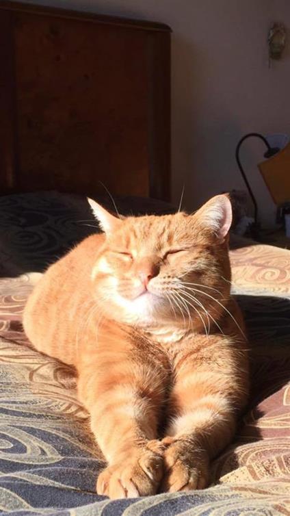 Minimo una notte - Letizia Lusini - ebook