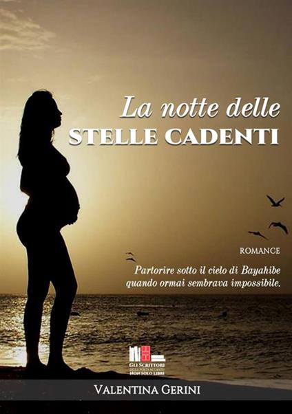 La notte delle stelle cadenti - Valentina Gerini - copertina
