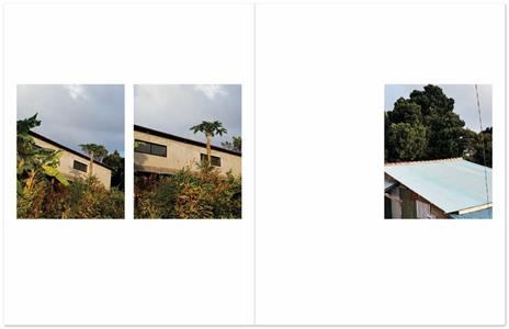 L'isola. Yonaguni 2018-2020. Ediz. a colori - Anush Hamzehian,Vittorio Mortarotti - 6