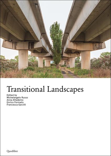 Transitional landscapes - copertina