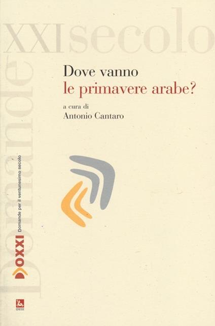 Dove vanno le primavere arabe? - copertina