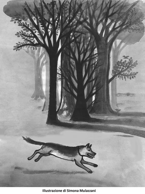 Storia di un cane che insegnò a un bambino la fedeltà - Luis Sepúlveda ...
