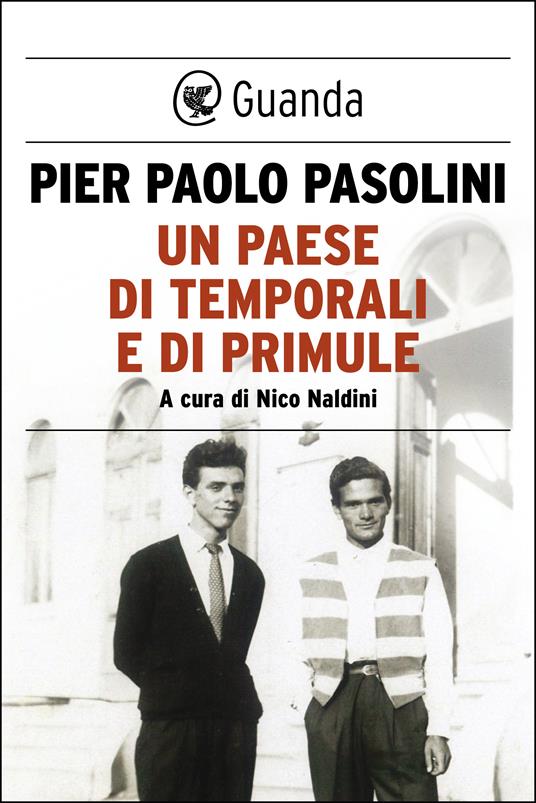 Un paese di temporali e di primule - Pier Paolo Pasolini,Nico Naldini - ebook