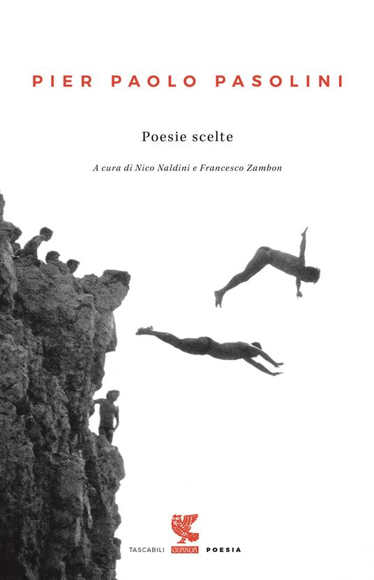 Poesie scelte - Pier Paolo Pasolini - copertina