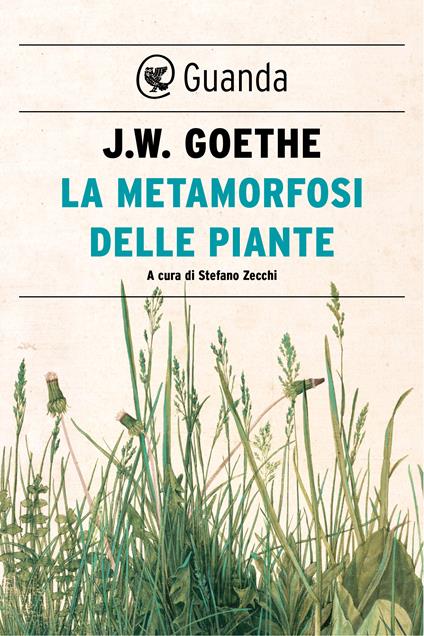 La metamorfosi delle piante e altri scritti sulla scienza della natura - Johann Wolfgang Goethe,Stefano Zecchi,Bruno Groff,Bruno Maffi - ebook