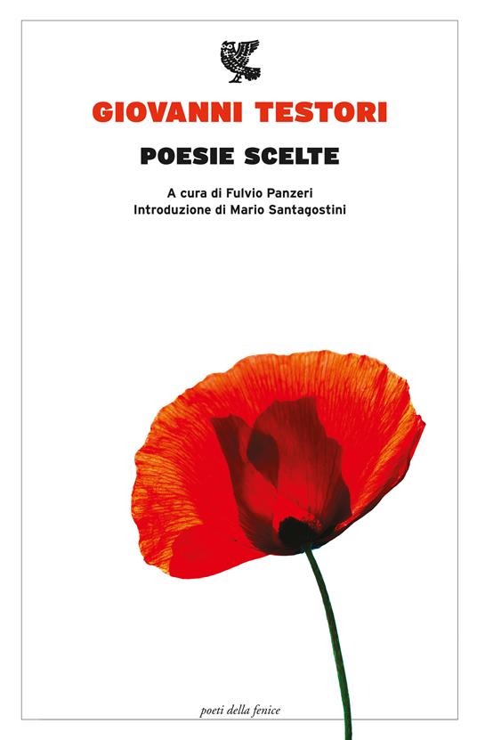 Poesie scelte - Giovanni Testori - copertina