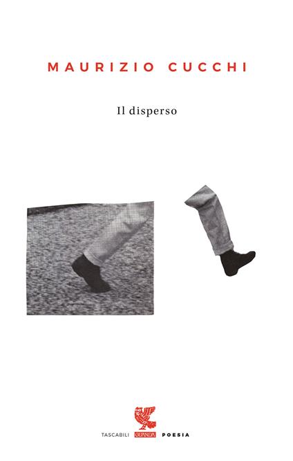 Il disperso - Maurizio Cucchi - copertina