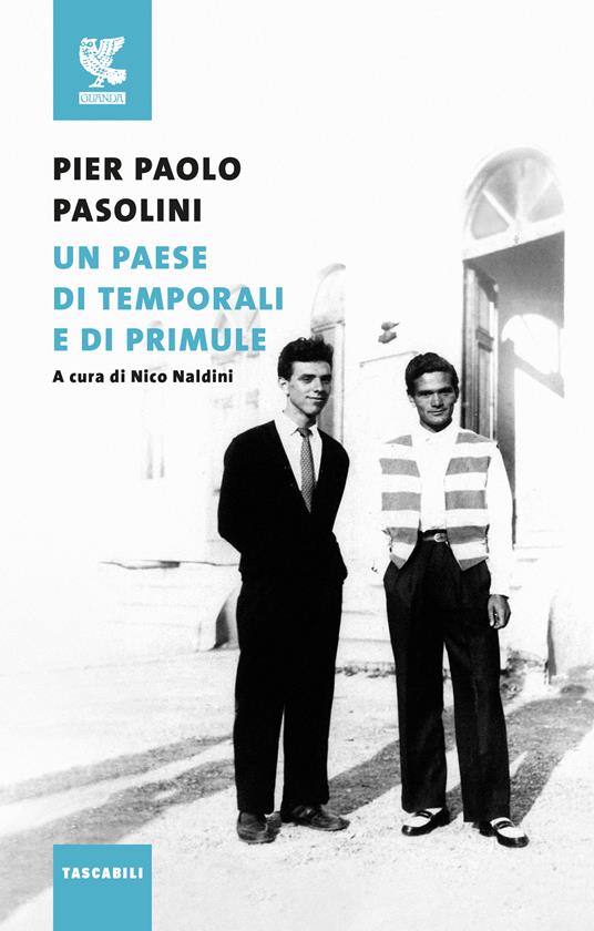 Un paese di temporali e di primule - Pier Paolo Pasolini - copertina