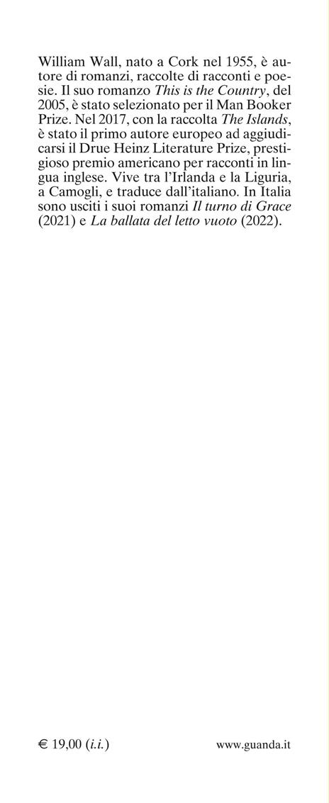 Ti ricordi Mattie Lantry? - William Wall - 3