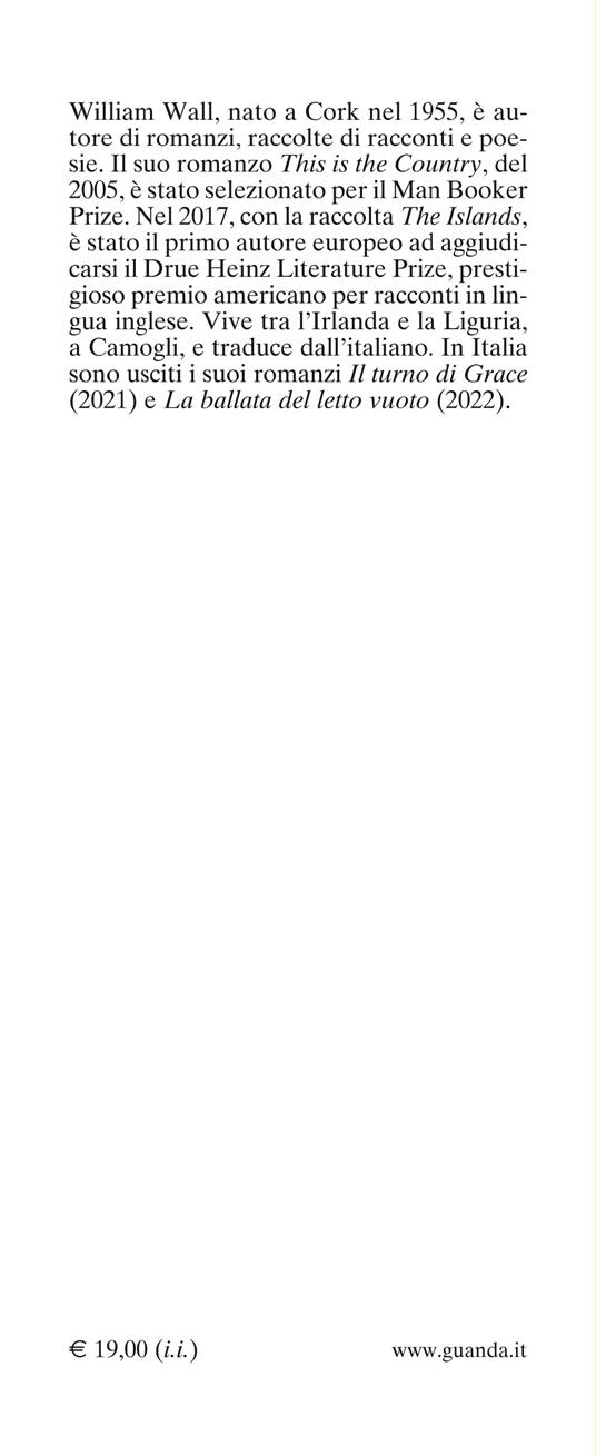 Ti ricordi Mattie Lantry? - William Wall - 3