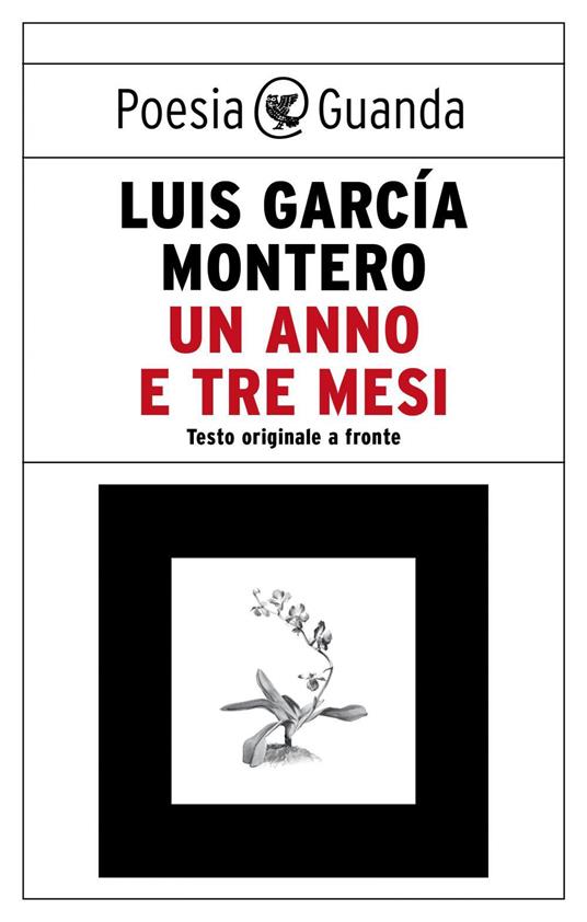 Un anno e tre mesi. Testo originale a fronte - Garcia Montero Luis - ebook