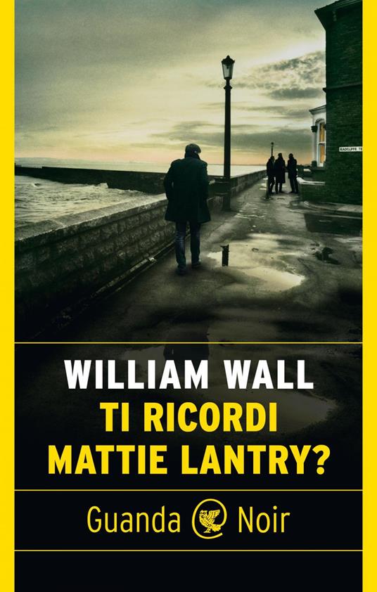 Ti ricordi Mattie Lantry? - William Wall - ebook