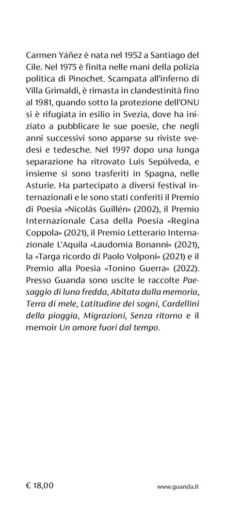 Il mestiere della solitudine - Carmen Yáñez - 3